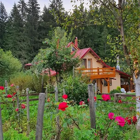 Forest Vibes Guest house *
