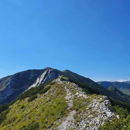 Forest Vibes Penzion Cîmpu lui Neag
