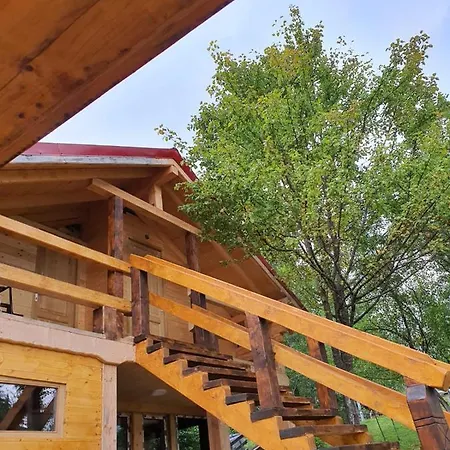 Forest Vibes Guest house