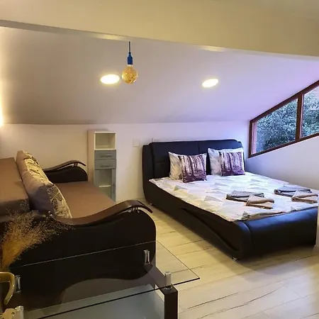 Guest house Forest Vibes Cimpu lui Neag