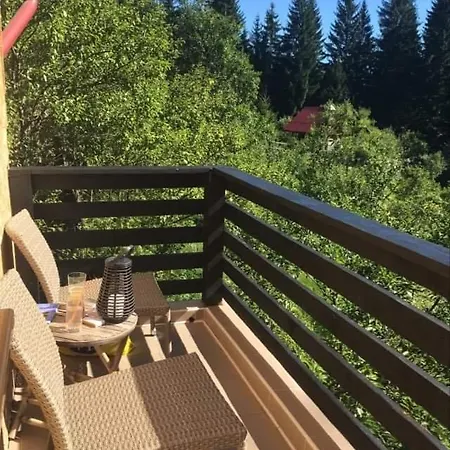 Forest Vibes Guest house
