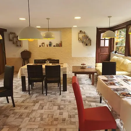 Forest Vibes Guest house
