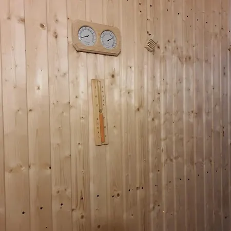 Forest Vibes Guest house