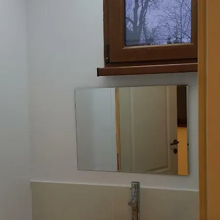 Forest Vibes Cîmpu lui Neag