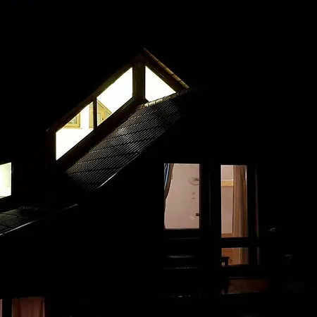 Forest Vibes Guest house *