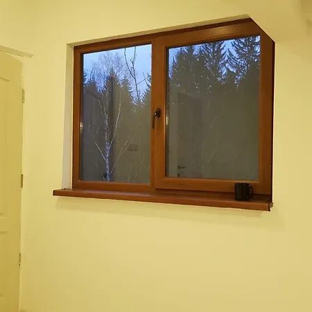 Forest Vibes Guest house *