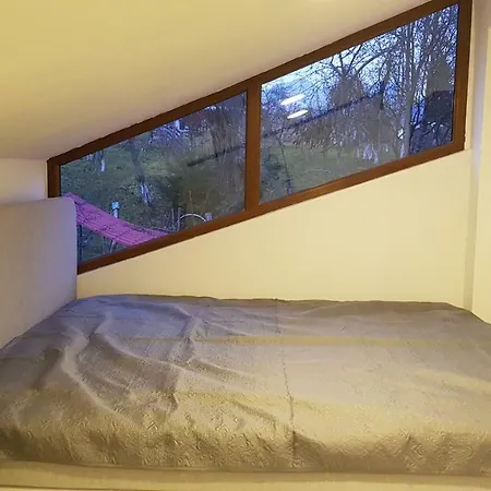 Forest Vibes Cîmpu lui Neag