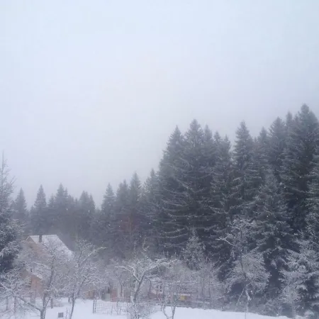 Penzion Forest Vibes