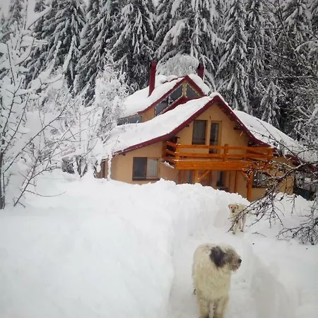 Guest house Forest Vibes Cimpu lui Neag