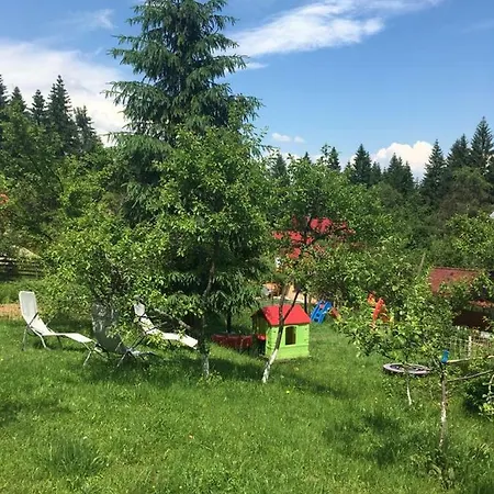 Forest Vibes *