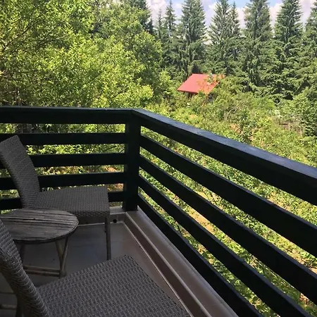 Forest Vibes * Cîmpu lui Neag
