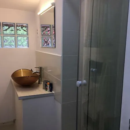 Guest house Forest Vibes Cimpu lui Neag
