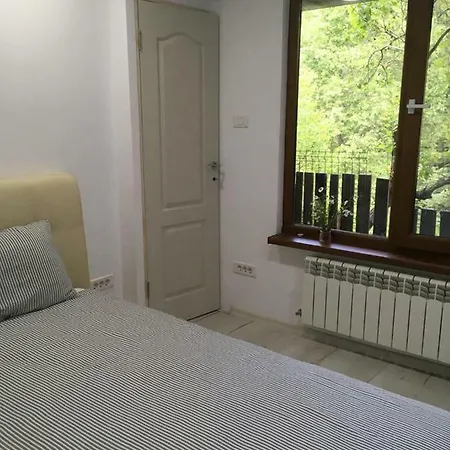 Forest Vibes Guest house