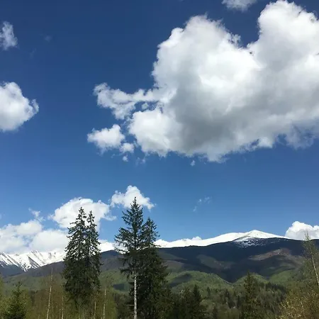 Forest Vibes Cîmpu lui Neag